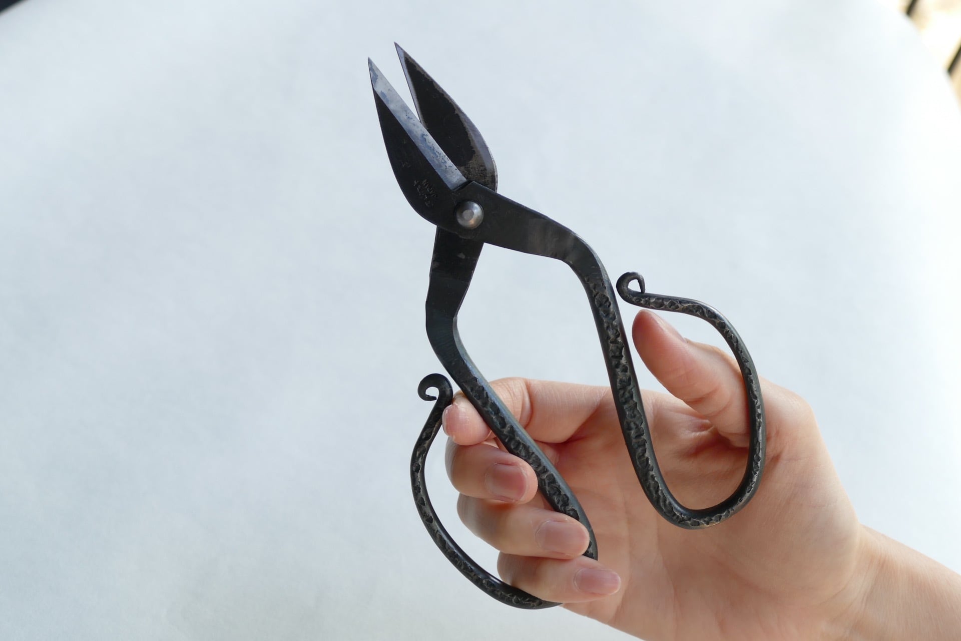 TAjiKA Branch & root shears | nishinohara online store nakaniwa