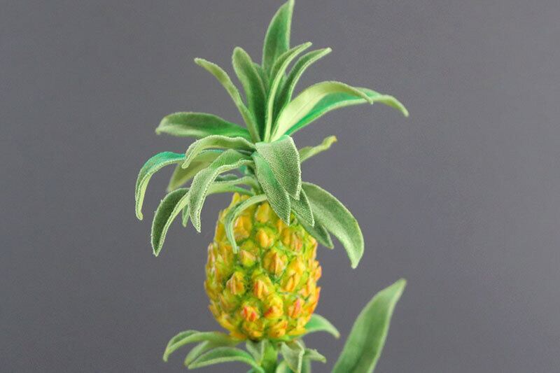 盆栽 パイナップル Pineapple Bonsai #123 | Oh! BONSAI