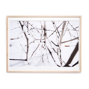 CLARITY [ Ⅰ ] -  Framed print No.31　size L