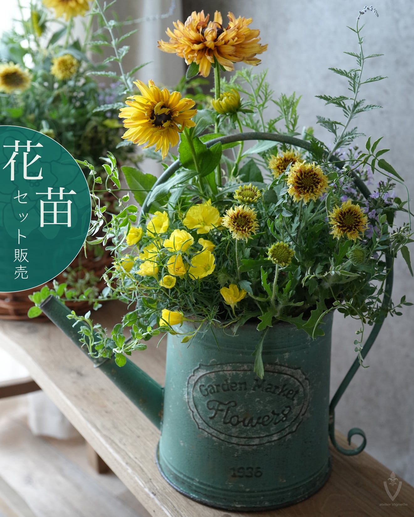 花苗セット（セット販売） | アトリエ ヴィネット（花苗・鉢・寄せ植え