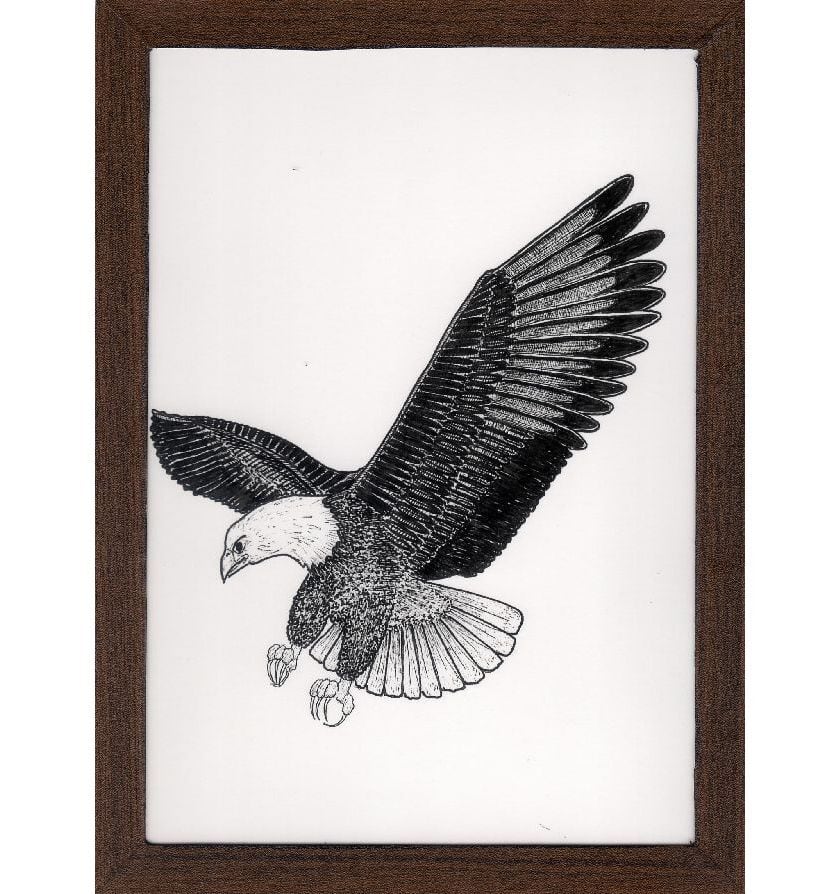 原画『 ハーピーイーグル 』アクリル水彩画 絵画 アート 猛禽類 イラスト 鷲 原画【 ハーピーイーグル 】アクリル水彩画/絵画/アート/猛禽類/イ./鷲