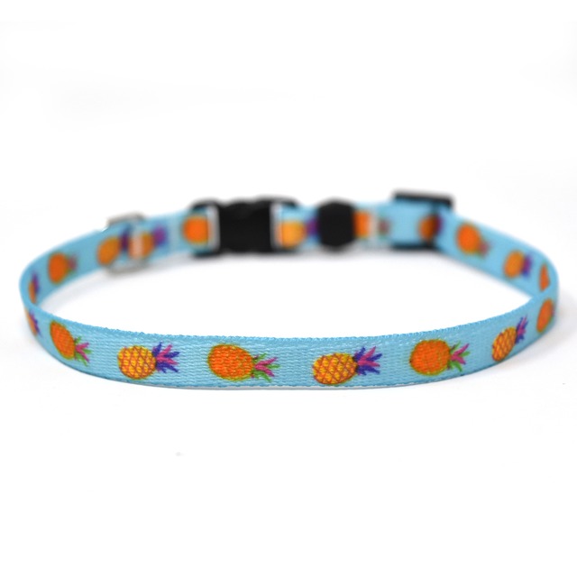 Pineapple Party　首輪＋リードセット Sサイズ - Yellow Dog Design