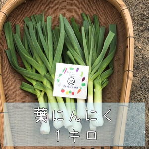 【期間限定】野菜ソムリエサミット金賞受賞葉にんにく　１キロ