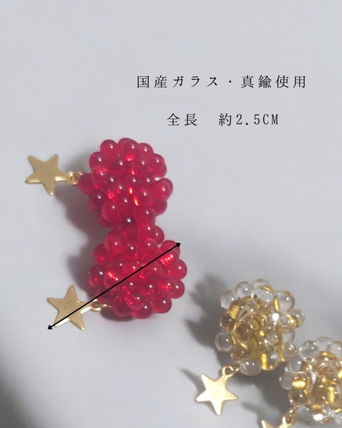 シロツメクサ　Christmas Limited