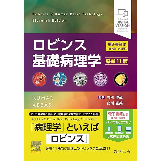 エナジーオーガズム考察録（紙の本・改訂版）｜クンダリニー覚醒とAEO