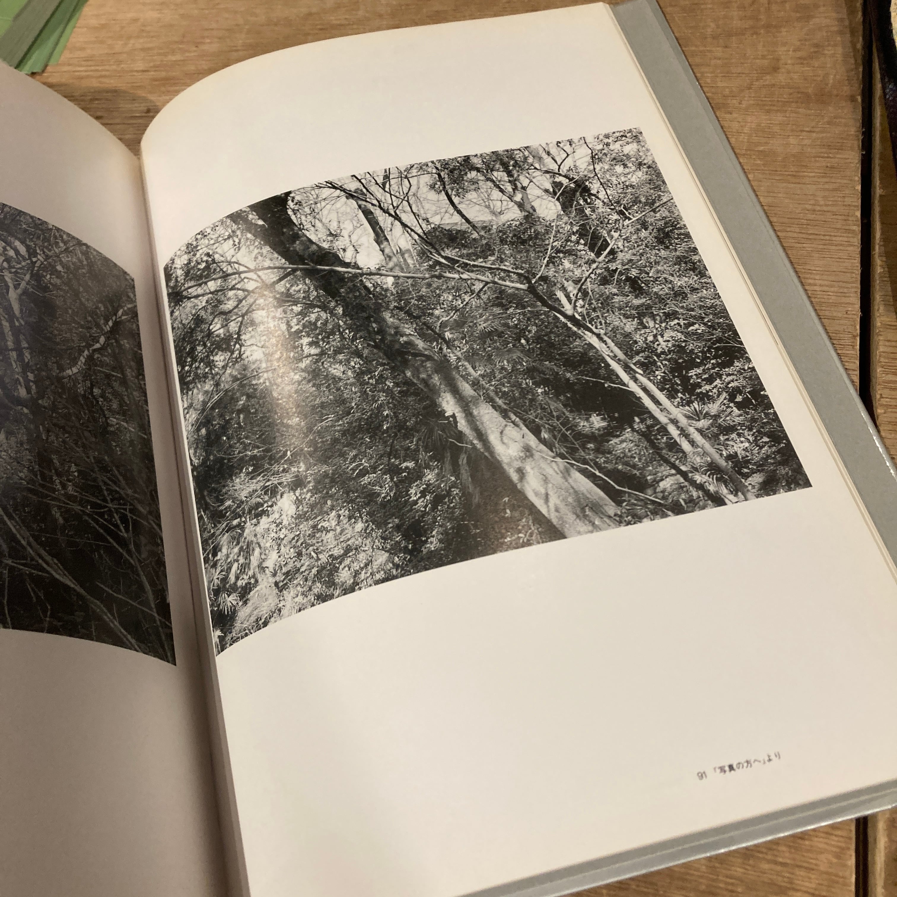 Phylo Photographs Annual 1990 パイロ・フォトグラフス・アニュアル