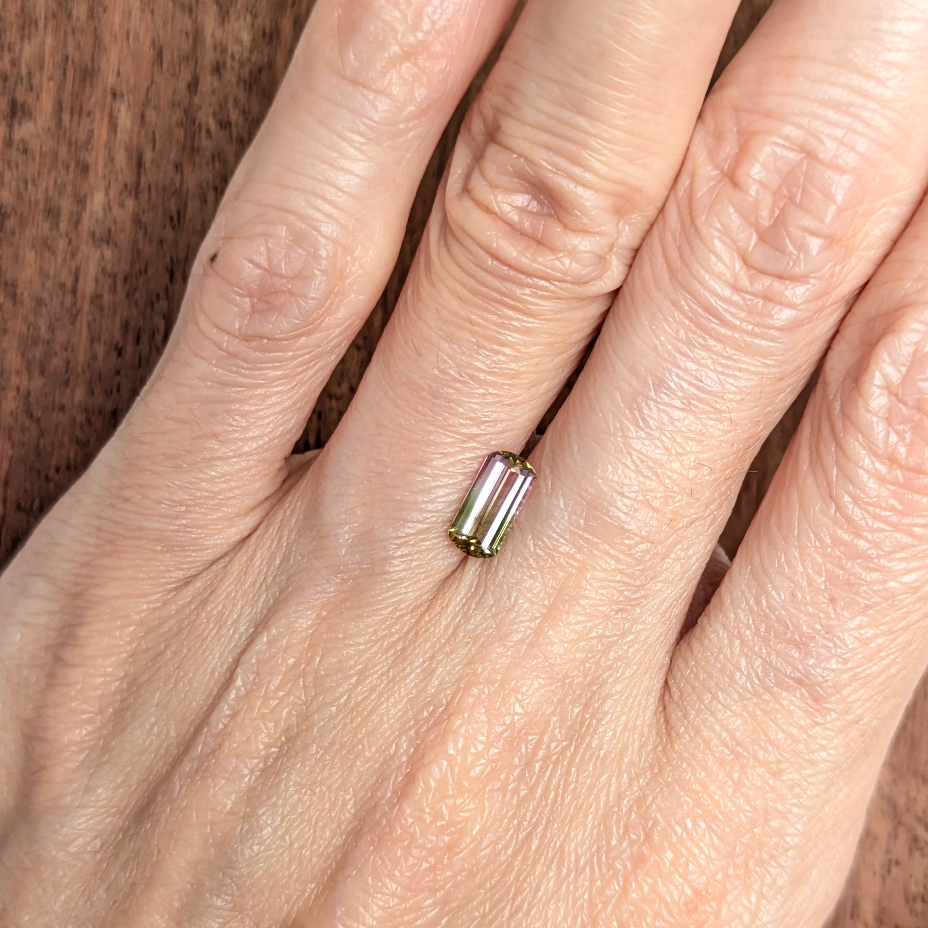 バイカラートルマリンルース 【0.66ct】 PRO208954 | Gem's Subculture