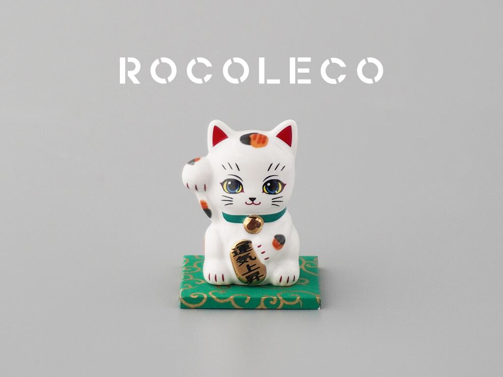 こんた（KONTA） | ROCOLECO OFFICIAL SHOP