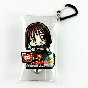 ミニマルチケース