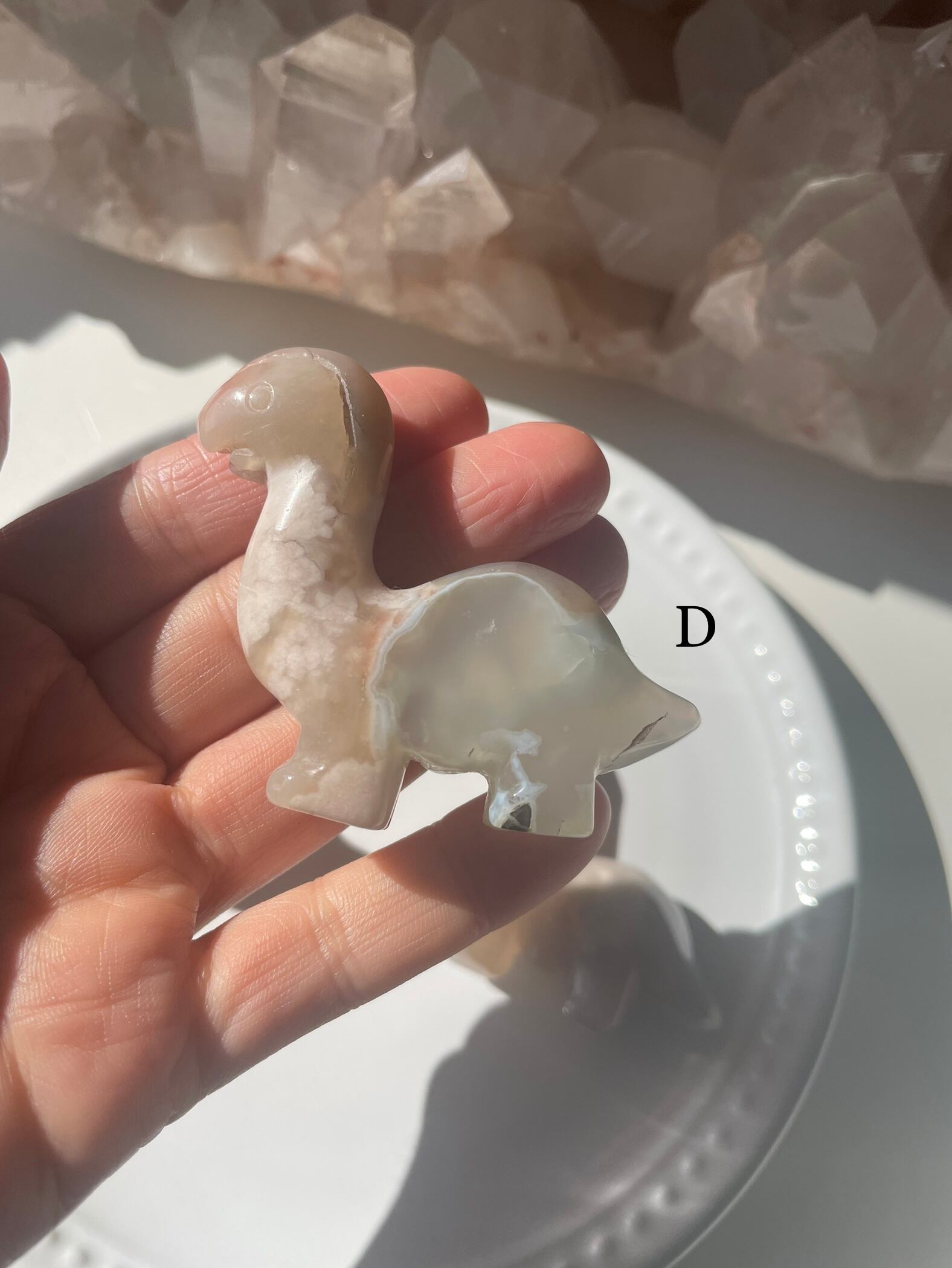 Flower Agate Dinosaur/ フラワーアゲート　恐竜