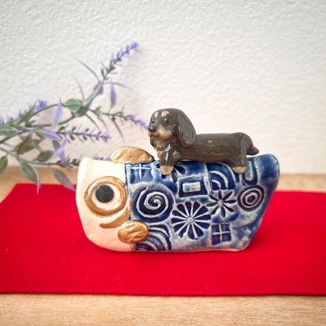 ダックス（チョコタン）と陶鯉のぼり