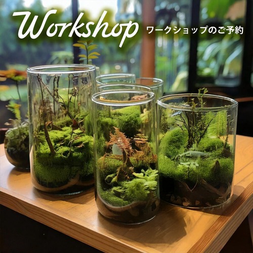 《 ご案内 》【火曜限定】静寂の森を育てる。苔テラリウム「深呼吸のひととき」