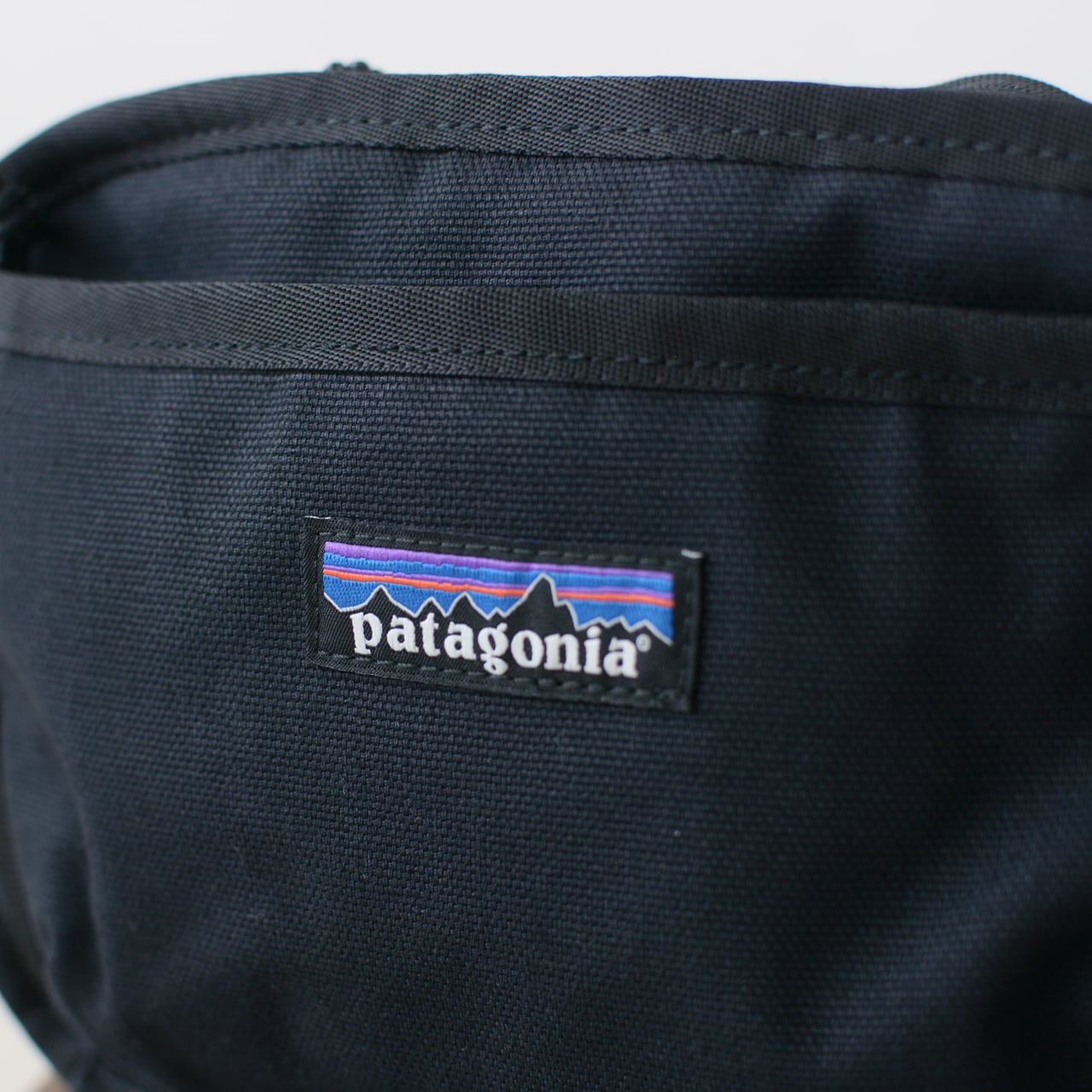 Patagonia [パタゴニア正規代理店] Fieldsmith Hip Pack -BLK- [48580