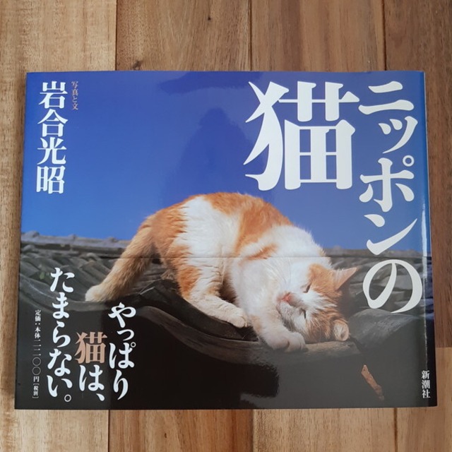 （古本）ニッポンの猫