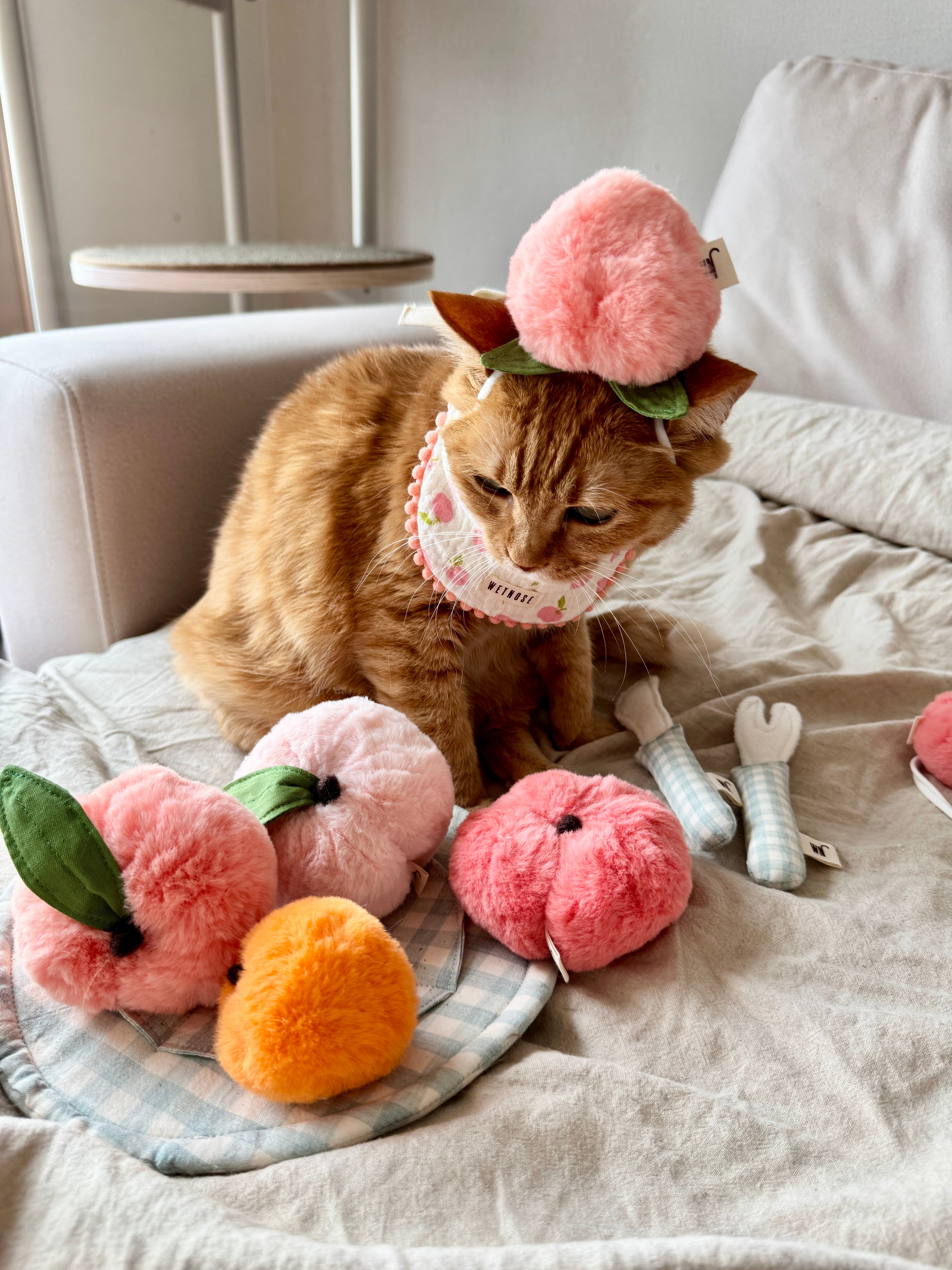 small peach from WETNOSE 猫 おもちゃ キャットニップ | nyanpets 猫
