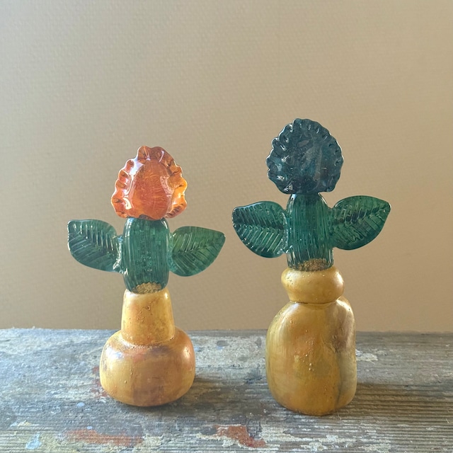 常盤 杏奈 glass plant-7