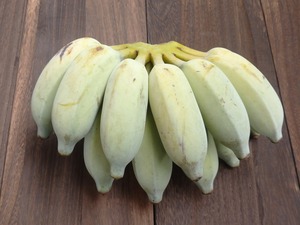 銀バナナ 10～12本