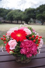 【5/10母の日】フランボワーズM