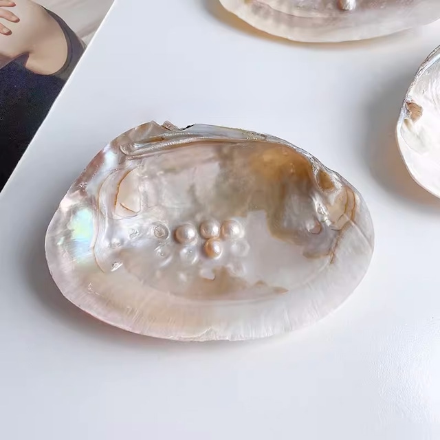 パール付きシェル調アクセサリートレイ