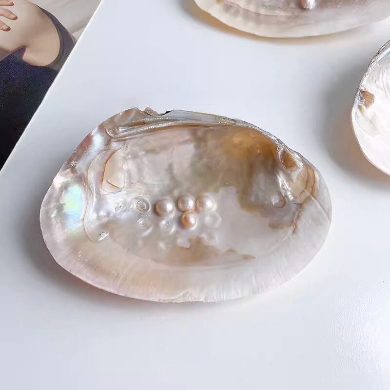 パール付きシェル調アクセサリートレイ