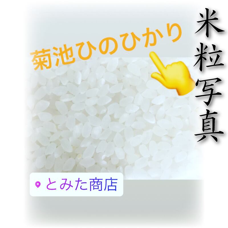 お米 米 5kg 白米 送料無料 熊本県 菊池産 ひのひかり 新米 令和5年産