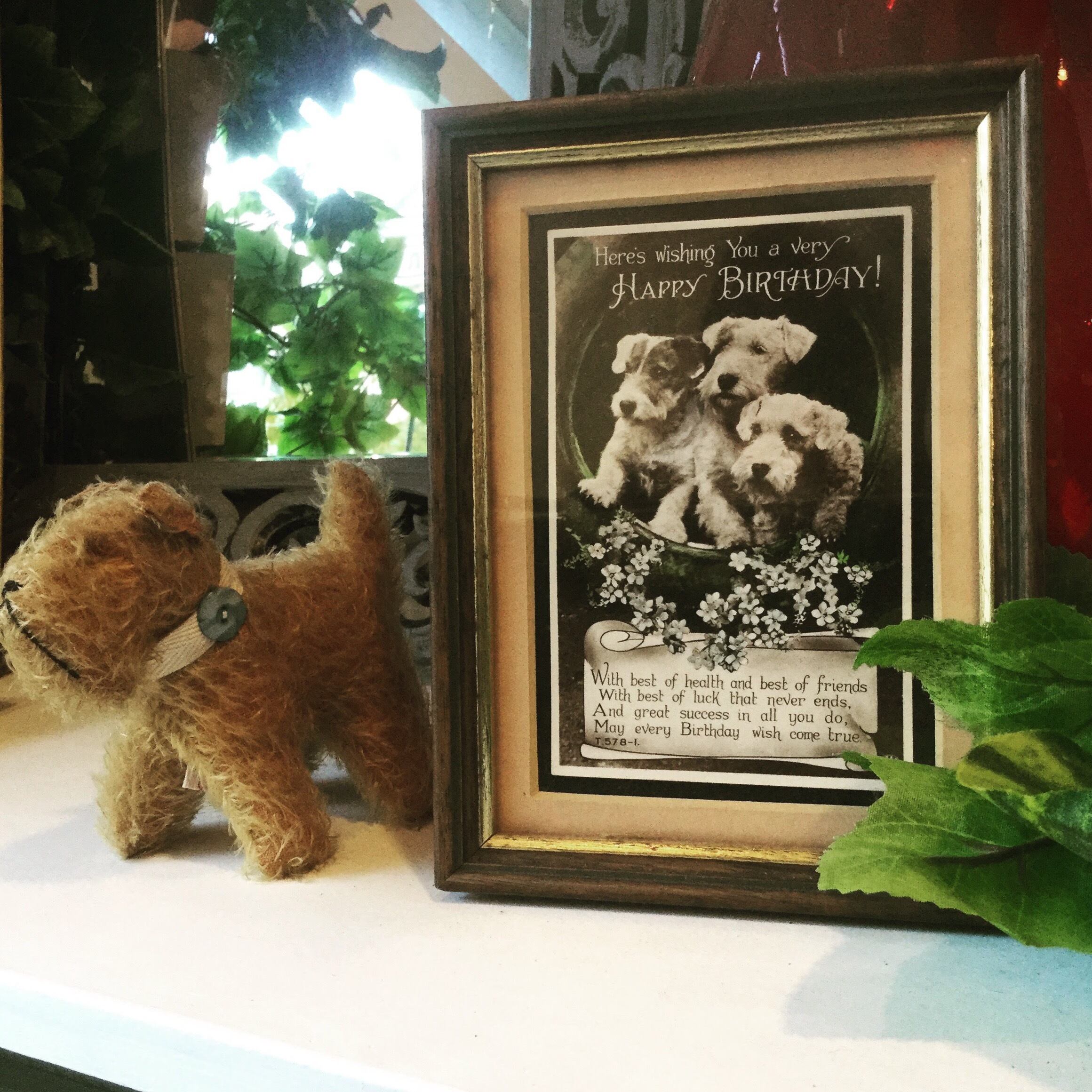 3びきのイヌのバースデーカード アンティークポストカード入りフレーム