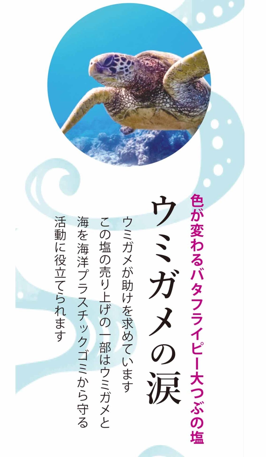 青い塩大粒 ウミガメの涙 35g（青い塩大粒）OKINAWA BRAND | Pay ID