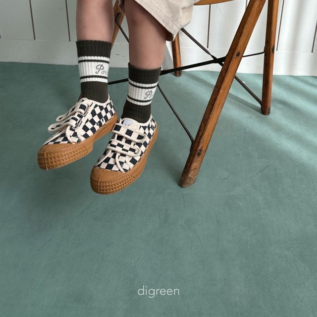 digreen25wn_Paris Socks