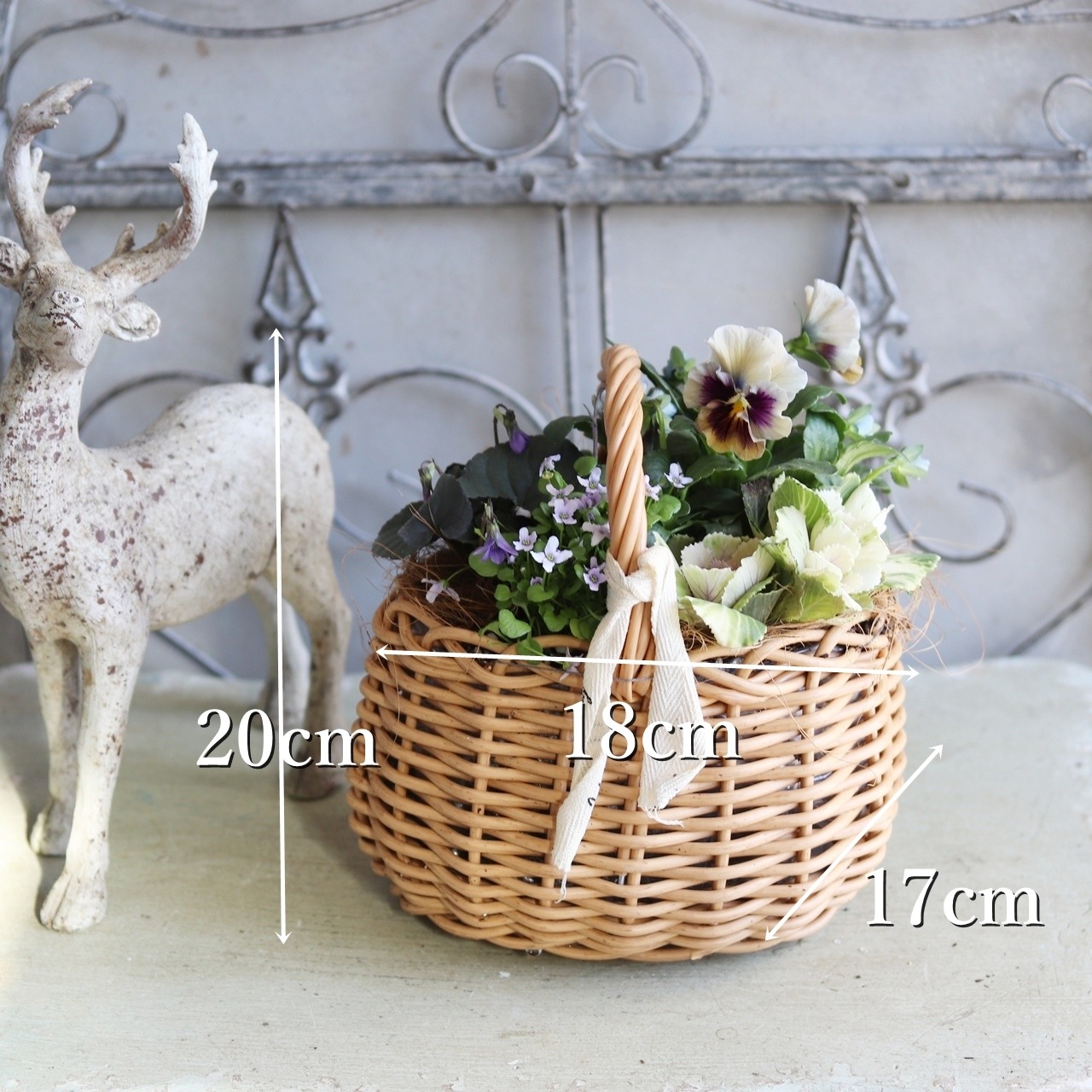 冬から春に楽しむ寄せ植え　パンジーマシェリマダムのシックカラーの小さなバスケットの寄せ植え　お正月にオススメ　届いてすぐ玄関に飾れる 　プレゼントにもオススメ　