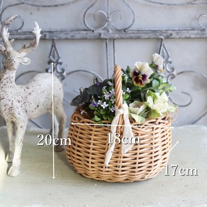 冬から春に楽しむ寄せ植え　パンジーマシェリマダムのシックカラーの小さなバスケットの寄せ植え　お正月にオススメ　届いてすぐ玄関に飾れる 　プレゼントにもオススメ　