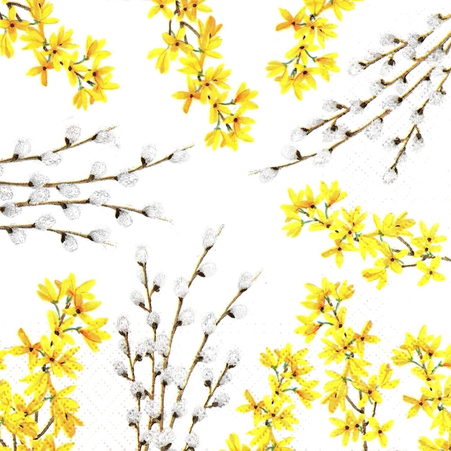 【TETE a TETE】バラ売り2枚 ランチサイズ ペーパーナプキン CATKINS AND FORSYTHIA ホワイト