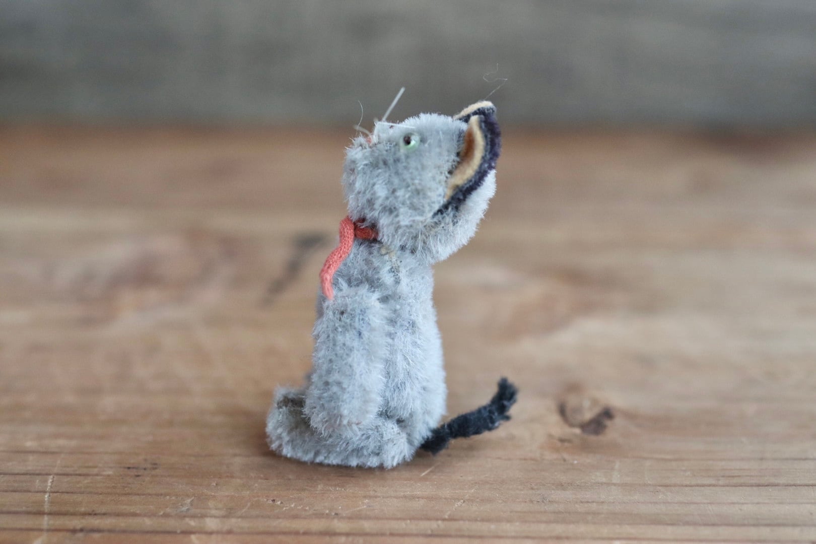 アンティークシュコ ネコ