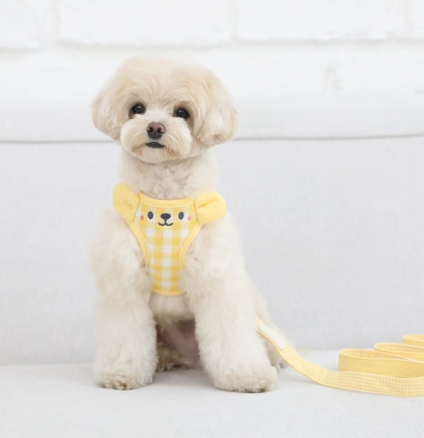 予約【ritogato】Bear Harness《Yellow》