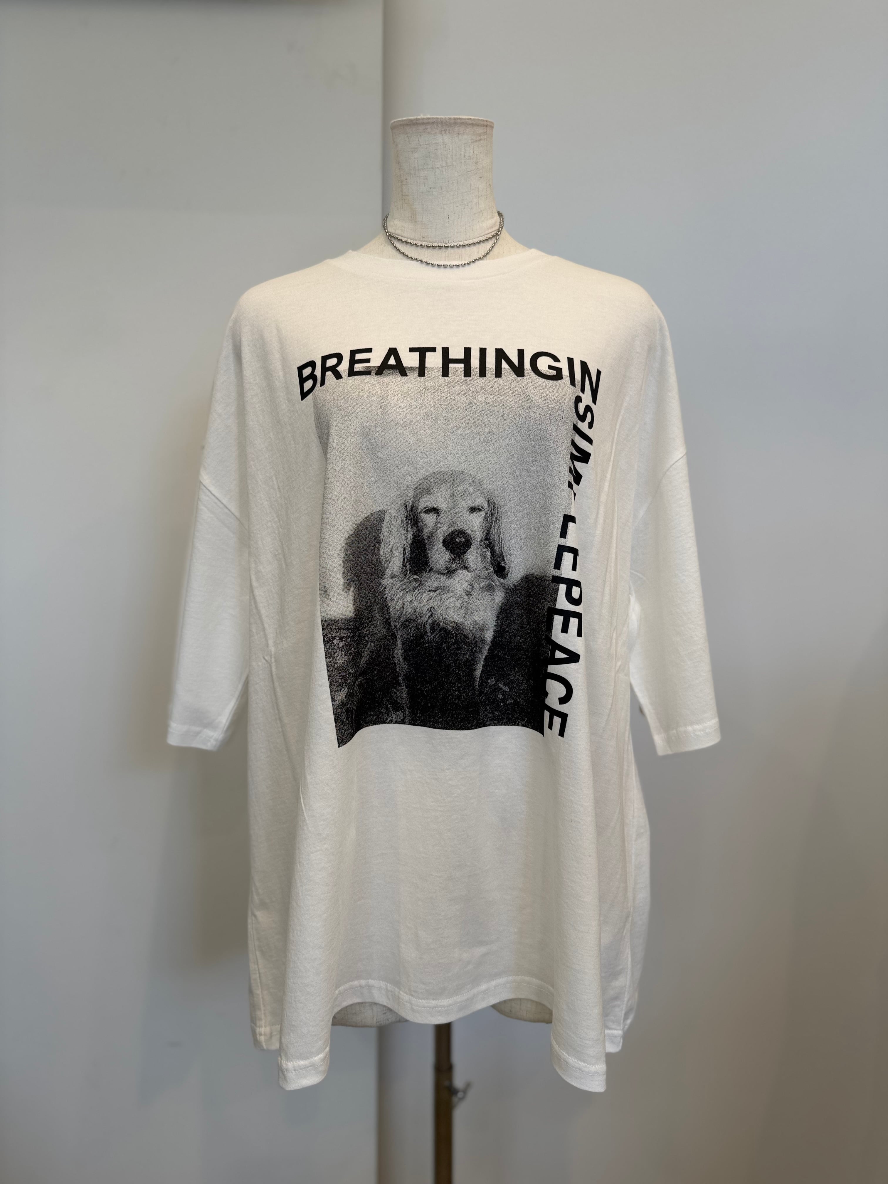 【CHIGNON】アニマルフォト”DOG”Tee 8461-100KK