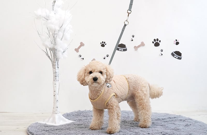 キルティングダウンハーネス&リードセット S ~ XL 2color  /  犬 服 秋冬 暖かい ハーネス リード セット ボア 犬服 ベスト ドッグウェア ペット アウター