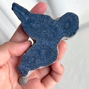 ブルーコーラル＊スラブ＊250807-02＊天然石＊置き物＊インテリアストーン