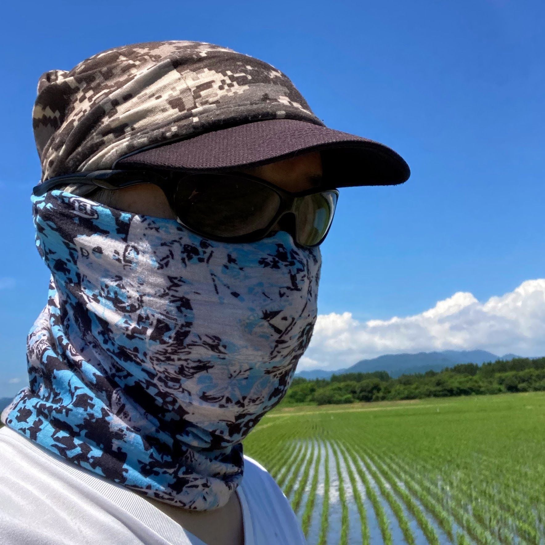 令和7年度産 玄米10kg 秋田県産あきたこまち 大谷米 単一農家米100