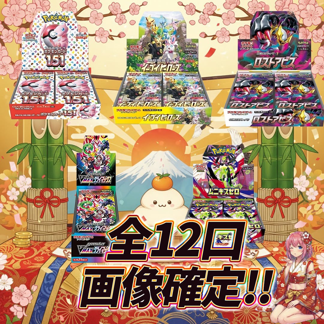 全12口 ポケモンカード画像確定オリパくじ【画像内BOX確定