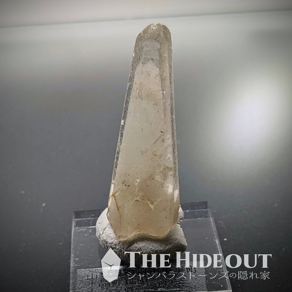 本水晶　モチーフ　象 Turquoise-coloured Elephant Mini Dangle Charm | スターリング