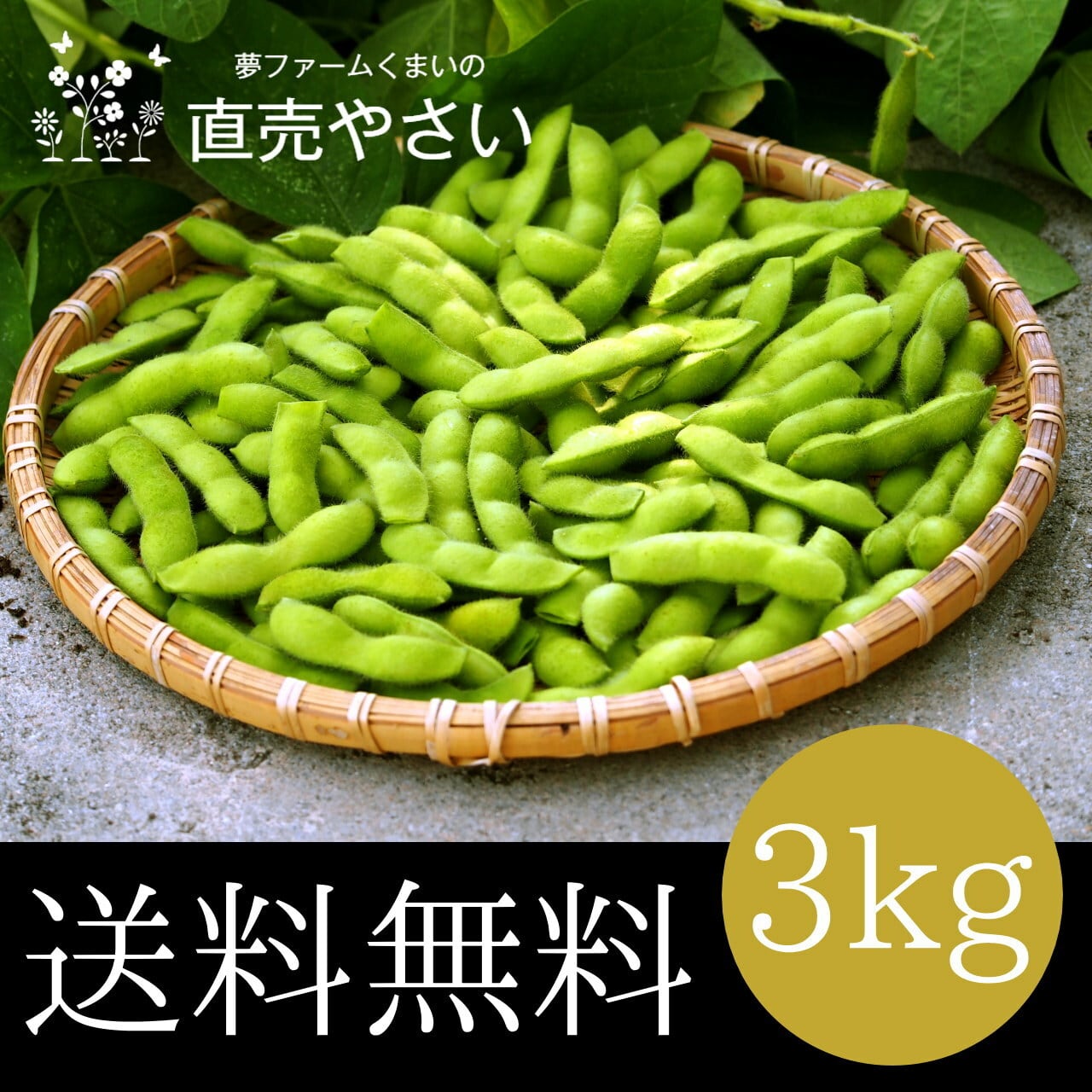 タイムセール！3キロ 朝採り！静岡県産　茶豆風味　枝豆　規格外品