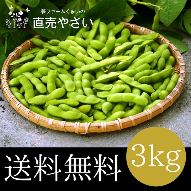 新潟 枝豆 朝採り発送 3kg 送料無料 お中元におススメ