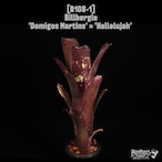 Billbergia 'Domigos Martins' x 'Hallelujah'〔ビルベルギア〕B108-1