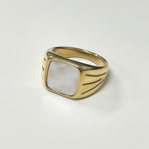 FJ0207 [stainless square shell ring]