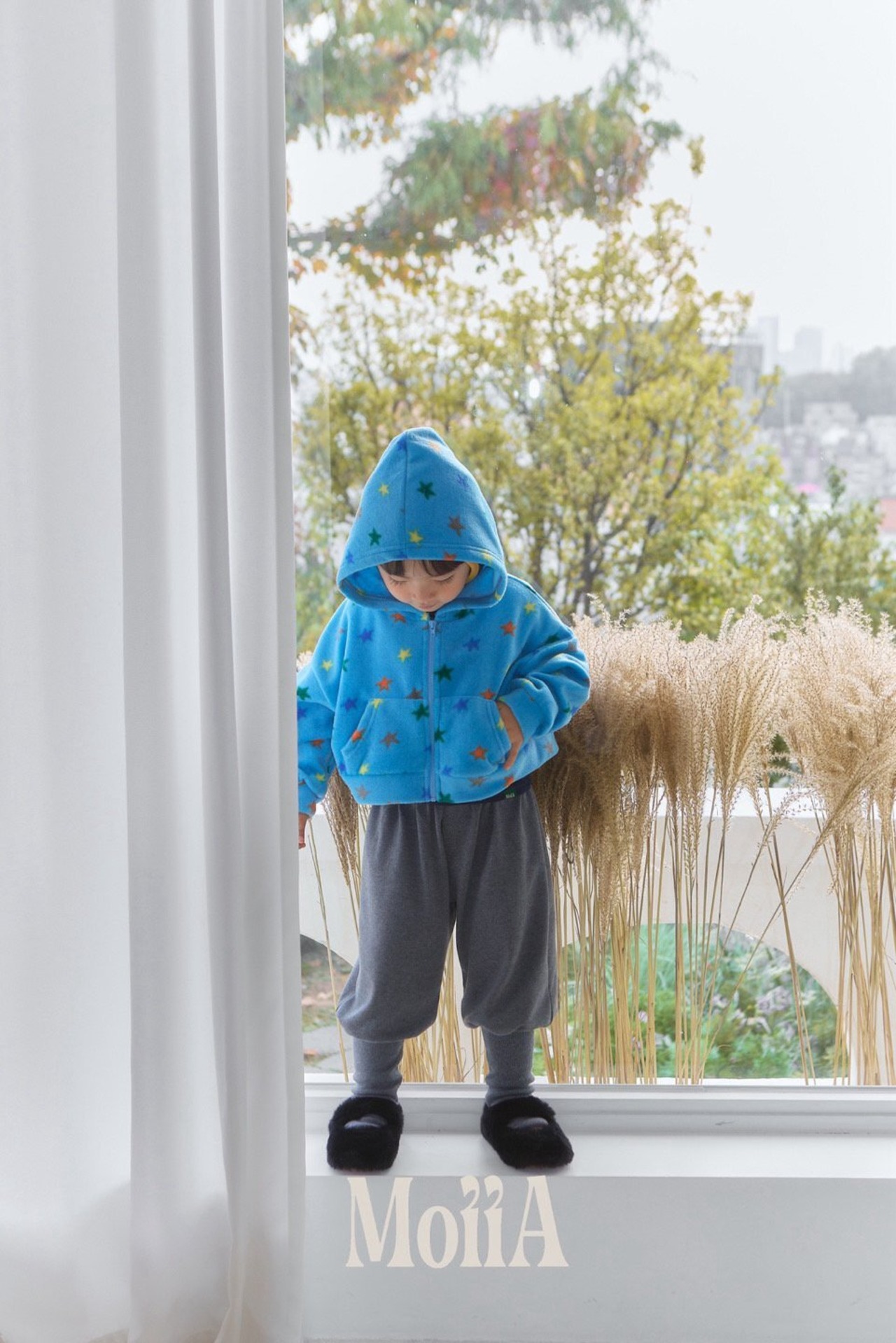 Moiia［取寄］star hood zipup 26winter