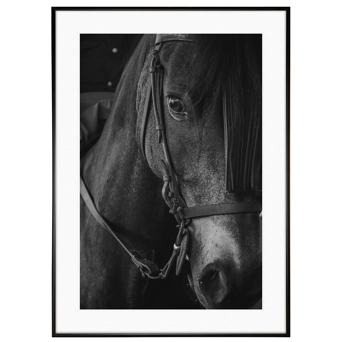 動物写真 馬 冬の道産子 インテリア モノクロアートポスター額装 AS1244