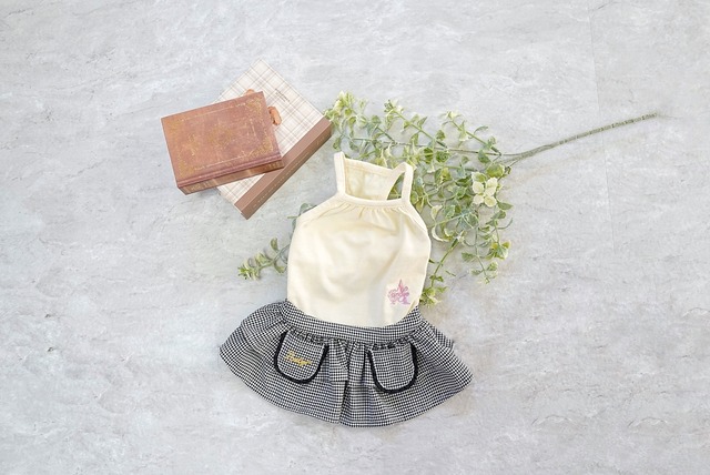 チドリソウ（千鳥草）XXL.3XL