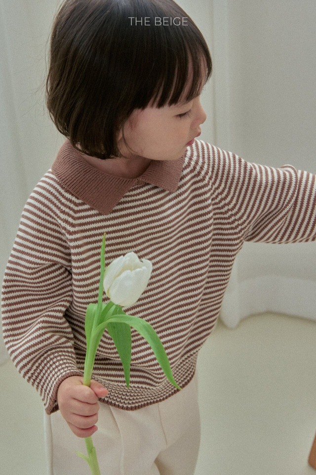 【予約】the beige Collar Knit