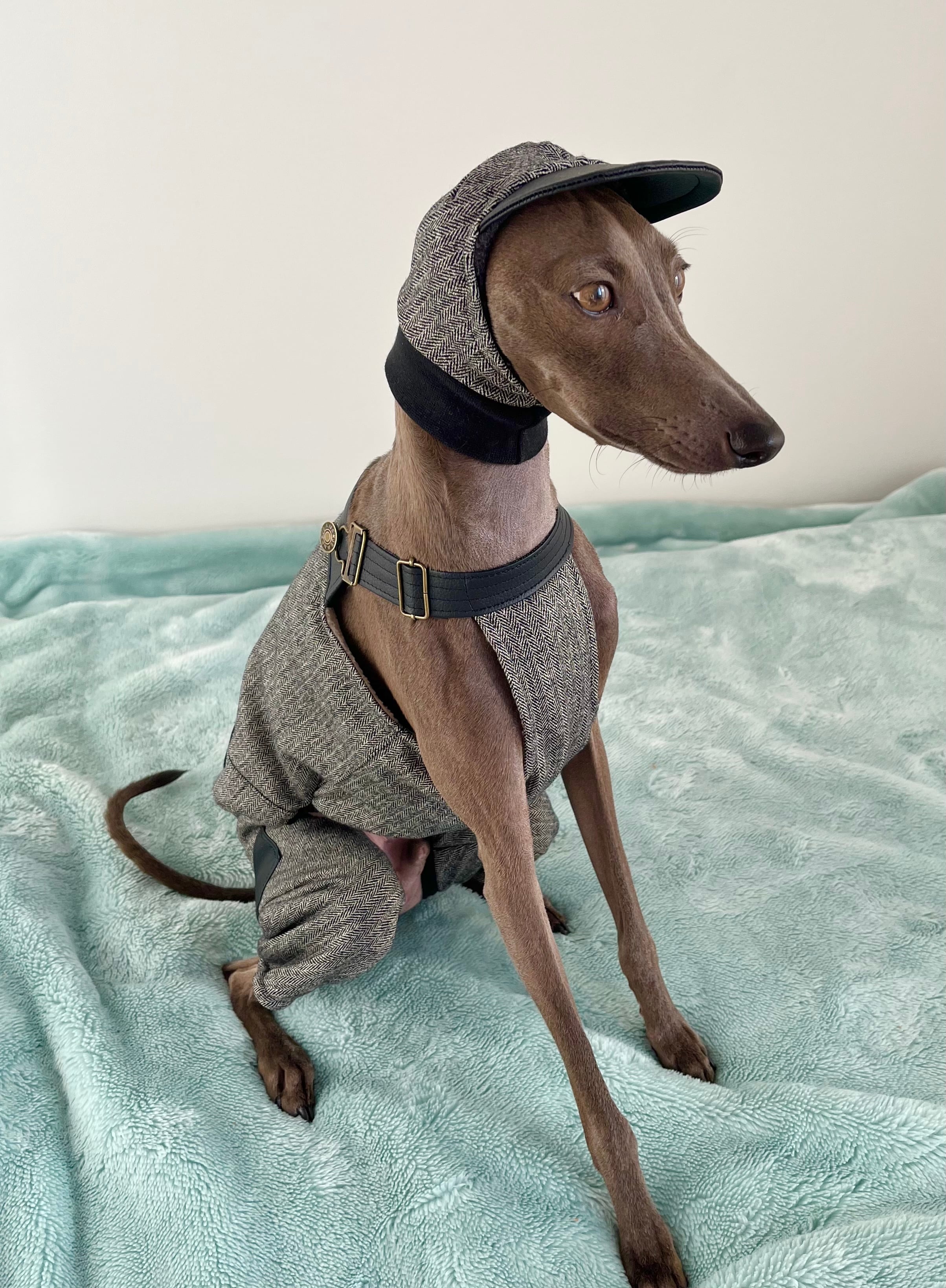 マキ様 専用 犬服 ハンドメイド ぶーこchan様専用① マキ様 専用 犬服 ハンドメイド ぶーこchan様専用①