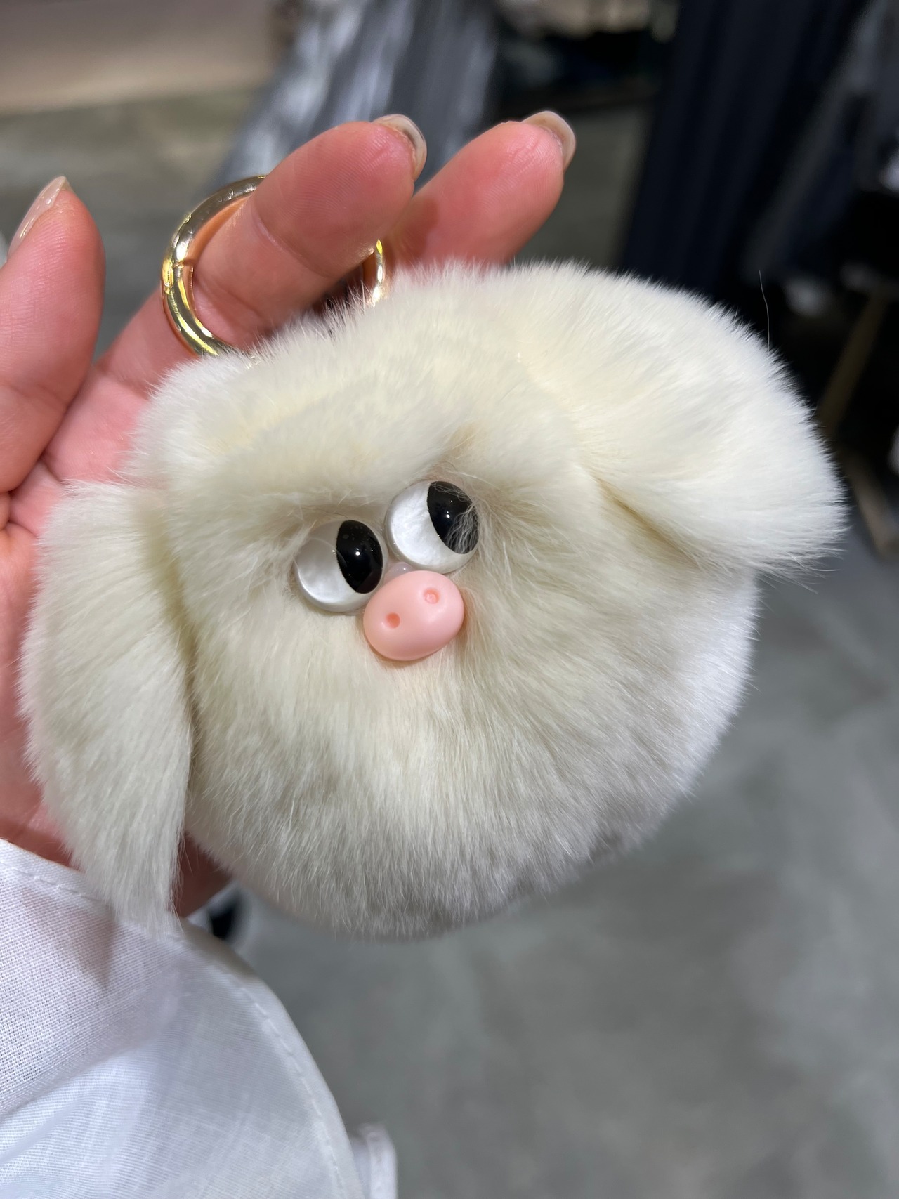 シスター　Sister  子ブタチャーム　（レッキス）