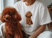 トイプードル　ビックシルエットTシャツ
